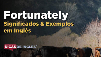 O que Fortunately significa em ingles