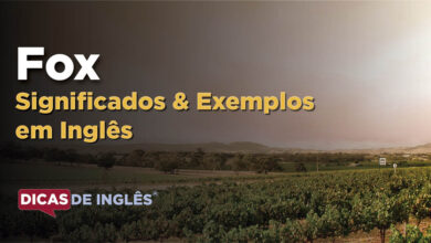 O que Fox significa em ingles
