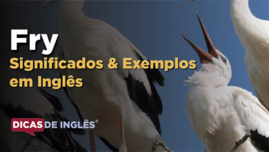 O que Fry significa em ingles