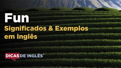 O que Fun significa em ingles