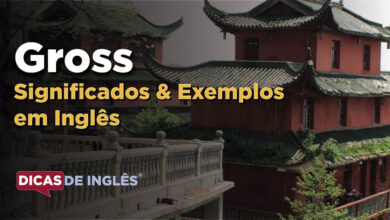 O que Gross significa em ingles