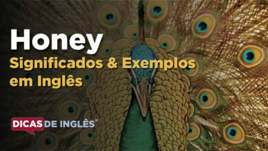 O que Honey significa em ingles