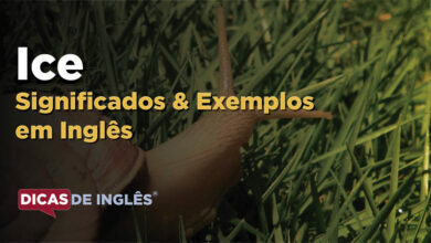 O que Ice significa em ingles