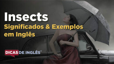 O que Insects significa em ingles