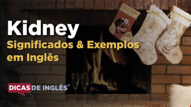 O que Kidney significa em ingles