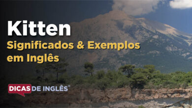 O que Kitten significa em ingles