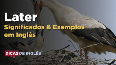 O que Later significa em ingles