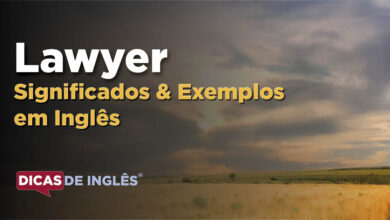 O que Lawyer significa em ingles