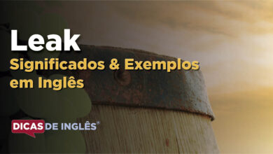 O que Leak significa em ingles