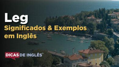 O que Leg significa em ingles