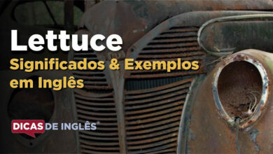 O que Lettuce significa em ingles