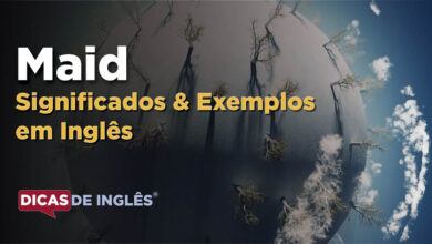 O que Maid significa em ingles