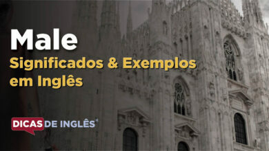 O que Male significa em ingles
