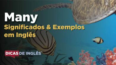 O que Many significa em ingles