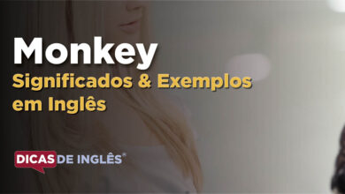 O que Monkey significa em ingles