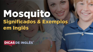 O que Mosquito significa em ingles