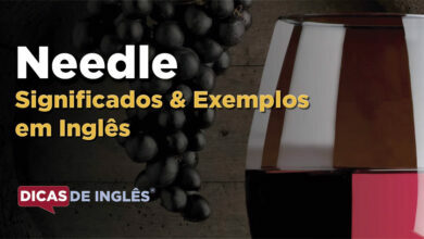 O que Needle significa em ingles