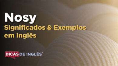 O que Nosy significa em ingles