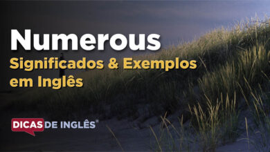 O que Numerous significa em ingles
