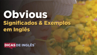 O que Obvious significa em ingles