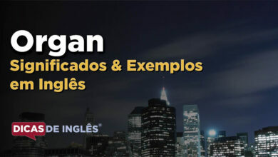 O que Organ significa em ingles