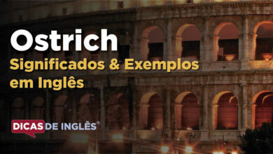 O que Ostrich significa em ingles