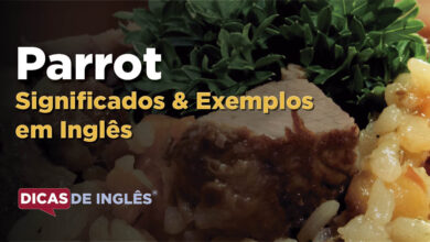 O que Parrot significa em ingles