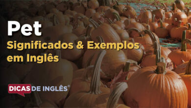 O que Pet significa em ingles