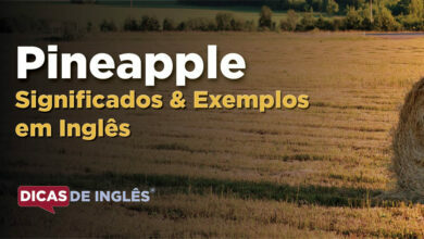 O que Pineapple significa em ingles