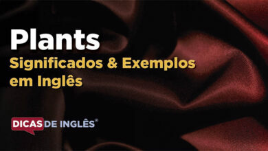 O que Plants significa em ingles