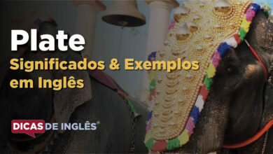 O que Plate significa em ingles
