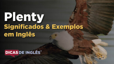 O que Plenty significa em ingles