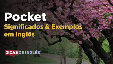 O que Pocket significa em ingles