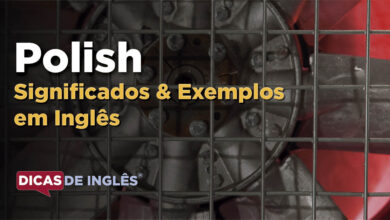 O que Polish significa em ingles