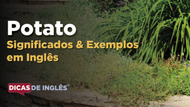 O que Potato significa em ingles