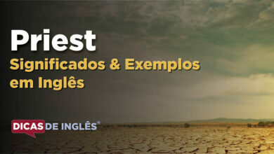 O que Priest significa em ingles