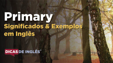 O que Primary significa em ingles