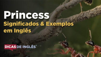 O que Princess significa em ingles