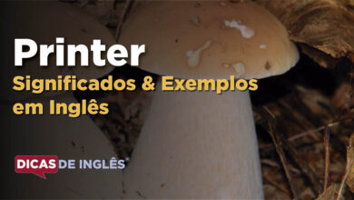 O que Printer significa em ingles