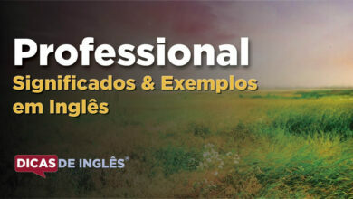 O que Professional significa em ingles