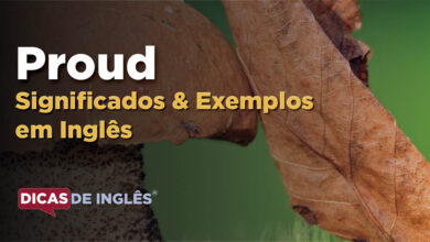 O que Proud significa em ingles