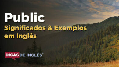 O que Public significa em ingles