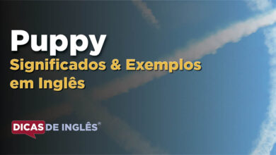 O que Puppy significa em ingles