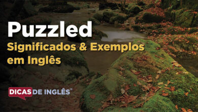 O que Puzzled significa em ingles