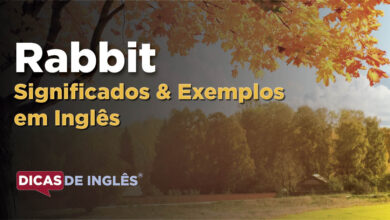 O que Rabbit significa em ingles