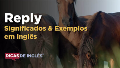 O que Reply significa em ingles