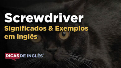 O que Screwdriver significa em ingles