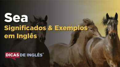 O que Sea significa em ingles