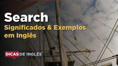 O que Search significa em ingles