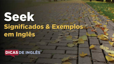 O que Seek significa em ingles